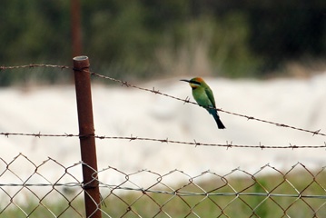 IMG_7107a.jpg